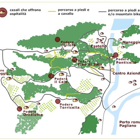 Tenuta Di Corbara Corbara  Buitenkant foto