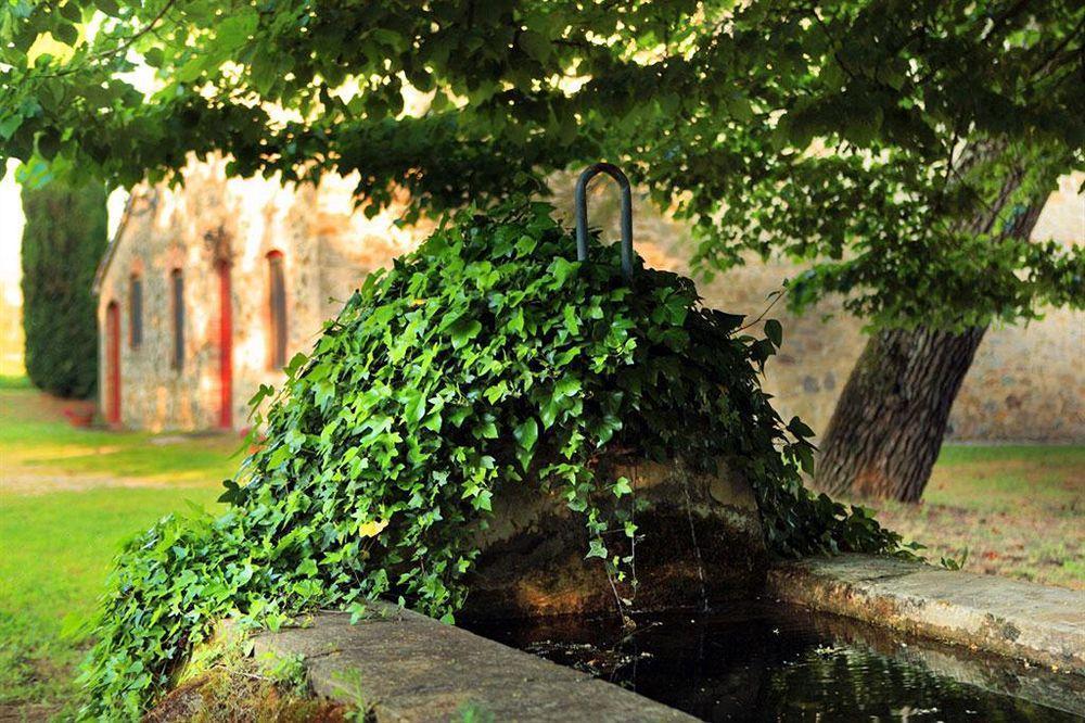 Tenuta Di Corbara Corbara  Buitenkant foto