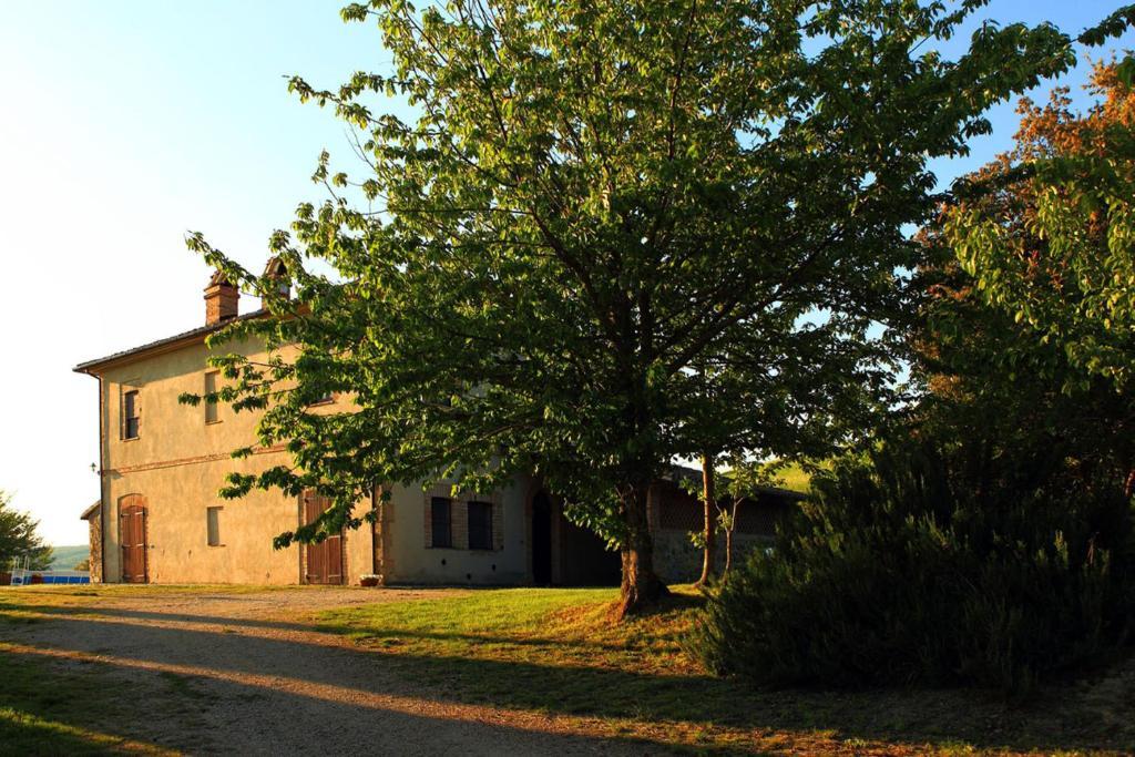 Tenuta Di Corbara Kamer foto