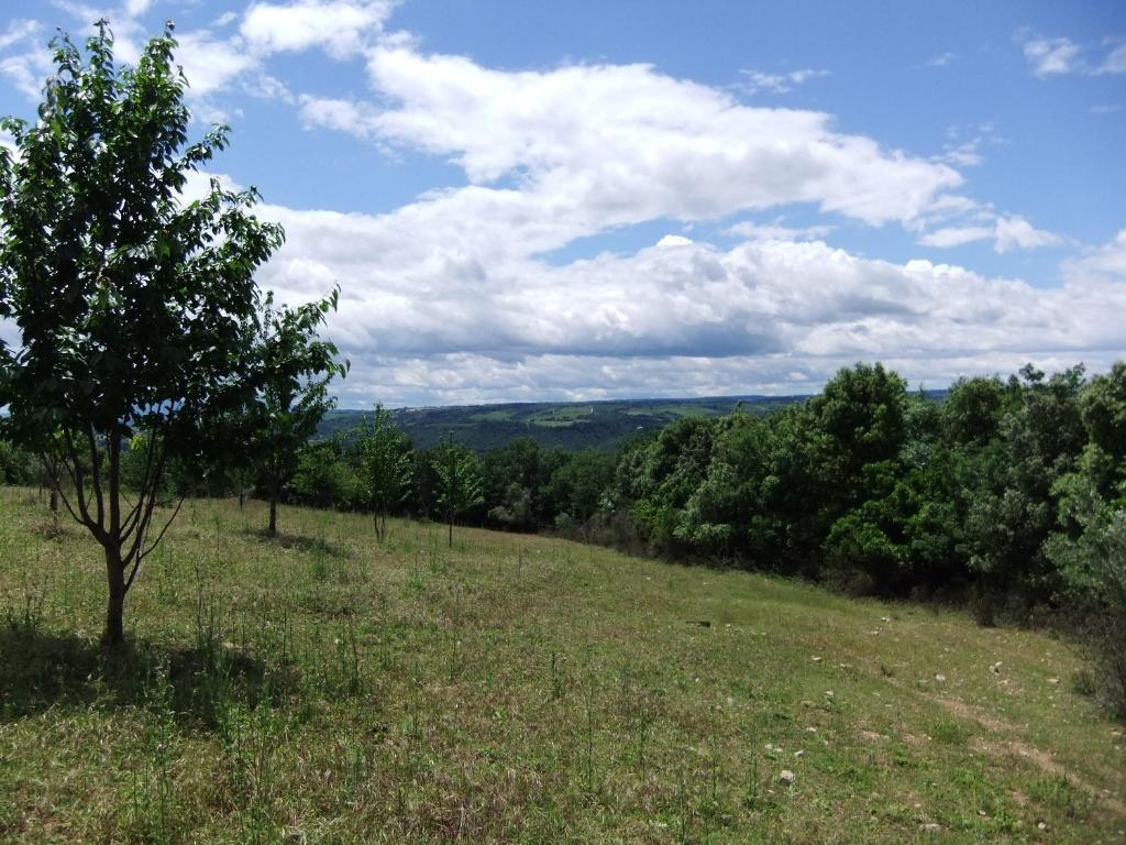 Tenuta Di Corbara Buitenkant foto