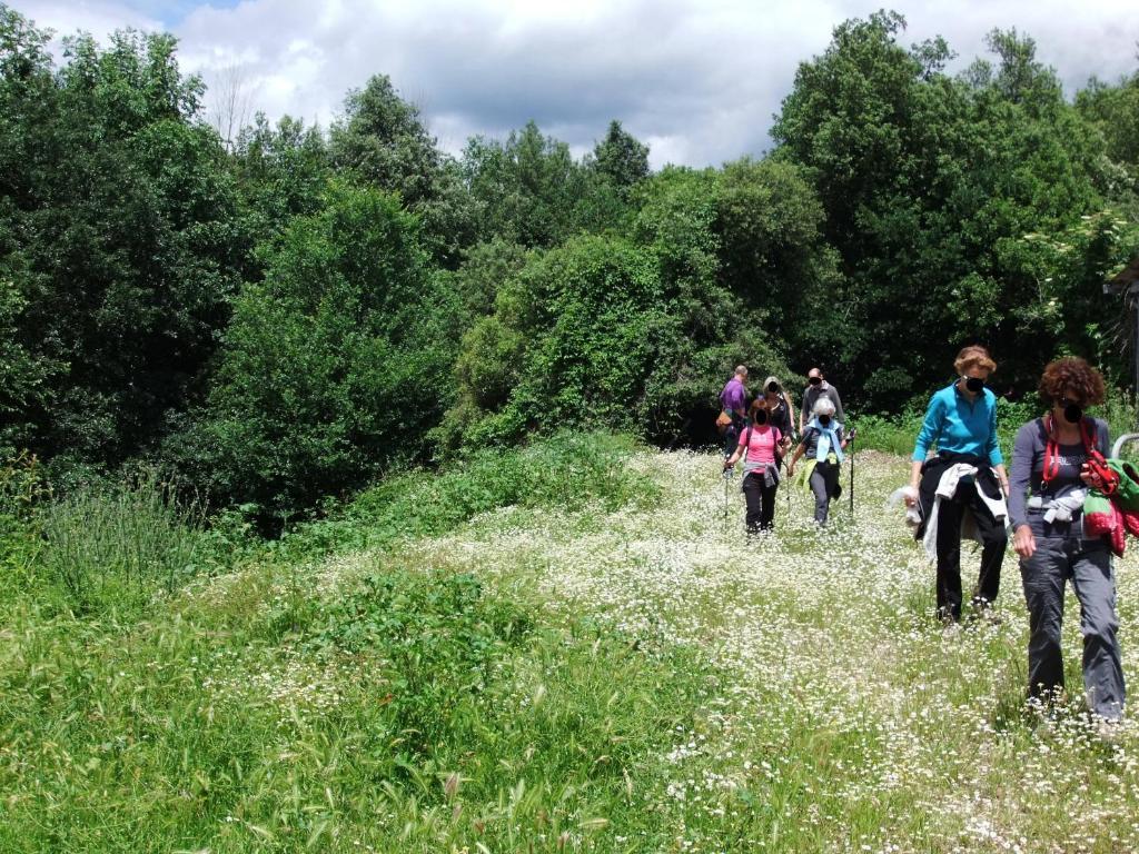 Tenuta Di Corbara Buitenkant foto
