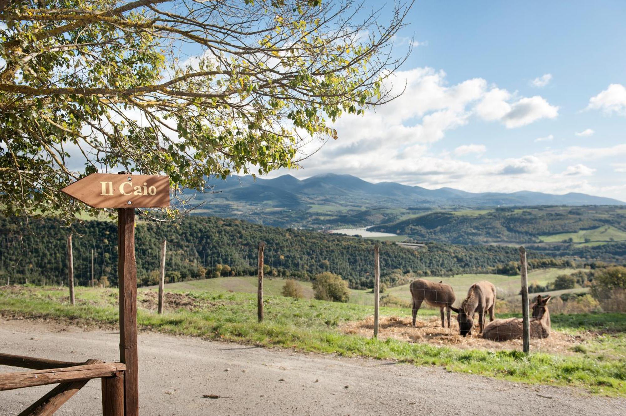 Tenuta Di Corbara Buitenkant foto