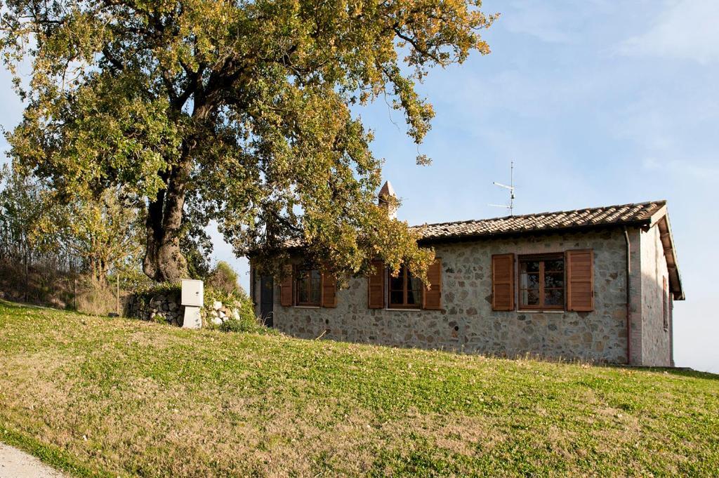 Tenuta Di Corbara Corbara  Buitenkant foto